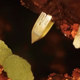 Wulfenita
Campo de visión 3,5 mm
(Autor: Vinoterapia)