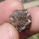 Pirita
1,3 x 1,3 x 1,3 cm
(Autor: Anisio Claudio)