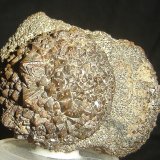 Goethita
4 x 3,7 x 2,8 cm
(Autor: Anisio Claudio)
