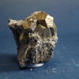 Pirita
4 x 5 cm.
(Autor: Echevarria)