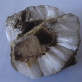 Wavellita
5 x 4 x 3,3 cm
(Autor: Anisio Claudio)