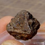 limonita pseudo Pirita
0,9 x 0,9 x 0,7 cm
(Autor: Anisio Claudio)