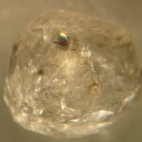 Fenaquita
7 x 5 x 4,5 mm
(Autor: Anisio Claudio)