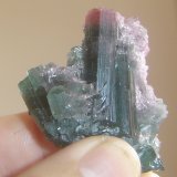 Elbaita (Grupo Turmalina)
4,8 x 4 x 2,2 cm
(Autor: Anisio Claudio)