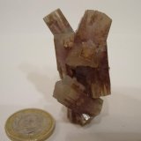 Aragonito
5 x 1,5 cm.
(Autor: javier ruiz martin)