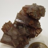 Aragonito
5,5 x 3 cm.
(Autor: javier ruiz martin)