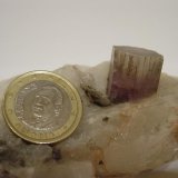 Aragonito en Yeso
8 x 3,5 cm.
(Autor: javier ruiz martin)