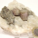Aragonito en Yeso
8 x 6 cm.
(Autor: javier ruiz martin)