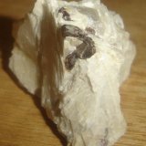 Tantalita-(Mn) en Albita
8 x 4 x 3,7 cm
(Autor: Anisio Claudio)