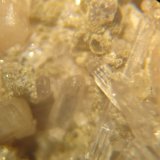 Apatito (Grupo)
Cerca de 3 x 0,4 x 0,4 mm
(Autor: Anisio Claudio)