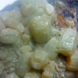 Piromorfita
cristales de 4 y 5 milímetros
(Autor: apita)