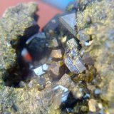 Epidota,
Cristal: 5mm
(Autor: apita)