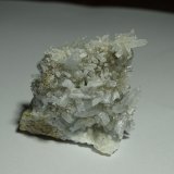 celestina
45 x 40 mm
(Autor: Ambrosio Pardo)