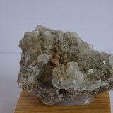 celestina
65 x 45 mm
(Autor: Ambrosio Pardo)