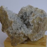 celestina
105 x 75 mm
(Autor: Ambrosio Pardo)