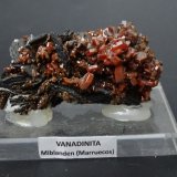 vanadinita
65 x 35 mm
(Autor: Ambrosio Pardo)