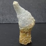 celestina
55 x 20 mm
(Autor: Ambrosio Pardo)