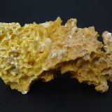 celestina
80 x 45 mm
(Autor: Ambrosio Pardo)