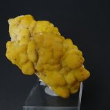 celestina
85 x 40 mm
(Autor: Ambrosio Pardo)