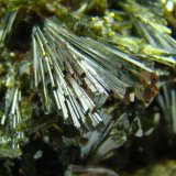 Epidota
Abanico de 1.8 cm
(Autor: D.N.S.Borràs)