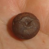 Goethita
1,2 x 1,2 x 0,8 cm
(Autor: Anisio Claudio)