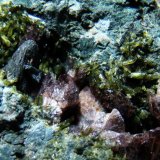 Schorlo-dravita, epidota, axinita-(Fe)
6 x 4 x 3 cm
(Autor: D.N.S.Borràs)
