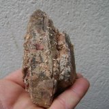 Cuarzo (variedad ahumado) e Hidroxilapatito
9 x 5 x 5 cm.
(Autor: P. apita)