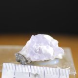 Fluorita
3 cm.
(Autor: Jose Bello)