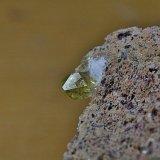 Fluorapatito
Cristal de 0,6 mm
(Autor: DPC)