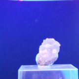 Fluorita
3 cm.
(Autor: Jose Bello)