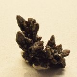 Descloizita
6 x 3,5 x 3 cm
(Autor: Antonio Alcaide)