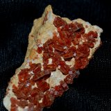 Vanadinita
4cm x 3cm
(Autor: DPC)