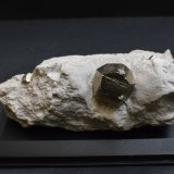 Pirita
11 x 5 x 4 cm
(Autor: Antonio Alcaide)