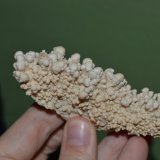 Aragonito
11 x 4,5 cm.
(Autor: DPC)
