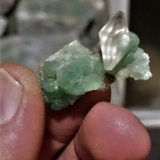 Fluorita, Calcita
4cm x 2,5cm
(Autor: Alex y Diana)