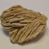 Barita
6 cm x 5 cm
(Autor: Raúl S. Llorente)