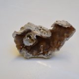 Cuarzo (variedad calcedonia)
8 x 5 x 2 cm
(Autor: Antonio Alcaide)