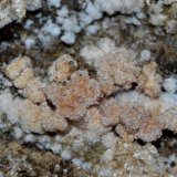 Pickeringita
5cm x 4cm
(Autor: DPC)