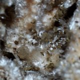 Pickeringita
1cm x 1 cm
(Autor: DPC)