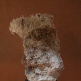 Celestina
5 x 3,5 x 3 cm
(Autor: Jose Maria  Valderrama)