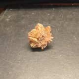 Aragonito
3 x 3 x 0.5 cm
(Autor: Toño P)