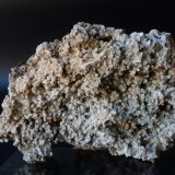 roca caliza
30 cm de largo aproximadamente
(Autor: martí canyelles)