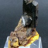 Vivianita
2.5 x 1.5 cm. Cristal mayor: 1.5 x 1 cm.
(Autor: Juan Cabezas)