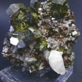 Epidota con cuarzo
Pieza: 5 x 5 cm. Cristal mayor: 18 mm.
(Autor: Juan Cabezas)