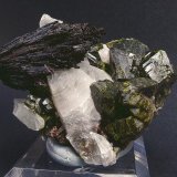 Epidota con cuarzo y ferropargasita
5 x 3 cm.
(Autor: Juan Cabezas)