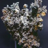 Cobre
Pieza: 6.5 x 5 cm.
(Autor: Juan Cabezas)