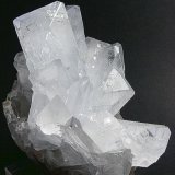 Celestina
6.5 x 5 cm.
(Autor: Juan Cabezas)