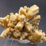 Piromorfita
3 x 2 cm.
(Autor: Juan Cabezas)