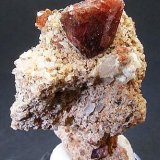 Espinela
2 x 1.5 cm.
(Autor: Juan Cabezas)