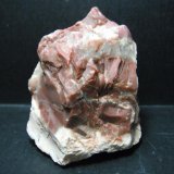 Jaspe.
8 x 7 cm.
(Autor: Carles Rubio)